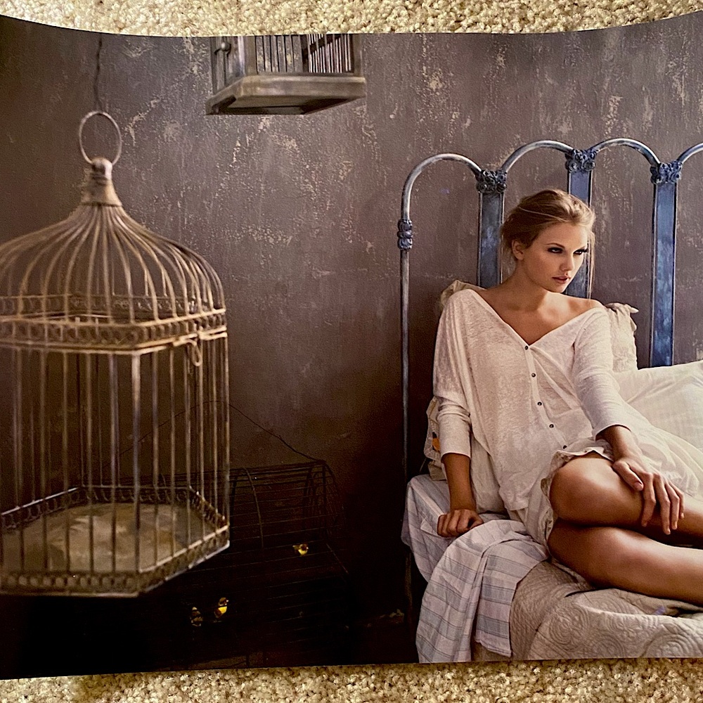 COPY - taylor swift speak now birdcage bird cage litho lithograph poster RARE N…